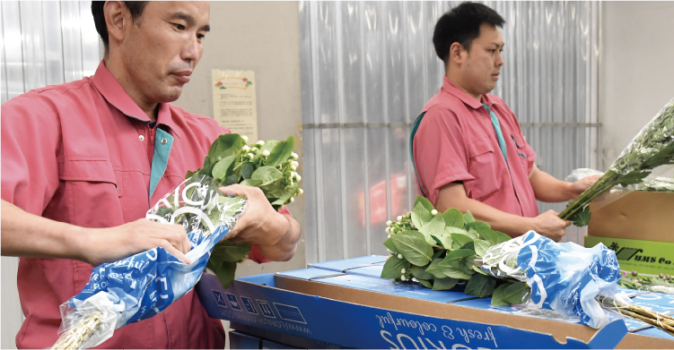 動植物検疫・食品検査業務