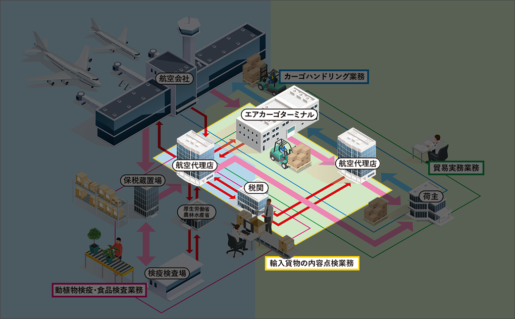 輸入貨物の内容点検業務